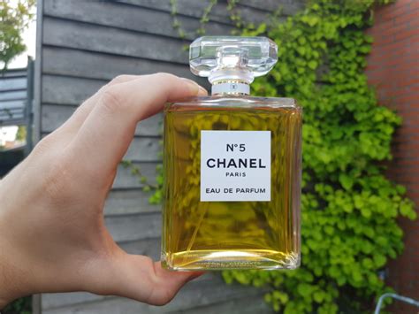 angelica chanel 5|9 Fragrances Similar To Chanel No.5.